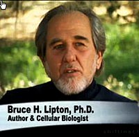 Picture of Dr. Bruce Lipton