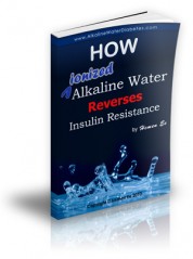 Reverses Insulin Resistance E-book Graphic