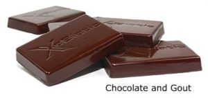 Xocia Xiobiotic Chocolate Squares