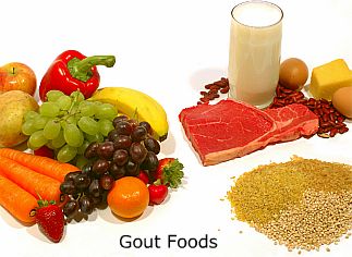 Fruits, Vegetables, Meat, Dairy, Legumes, and Grains