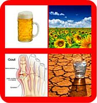 Beer, Summertime, Gout and Dehydration