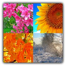 Images of the Four Seasons