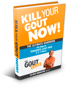 kill-your-gout-now-cover